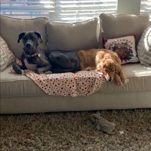 Meet your Posher, Jillian